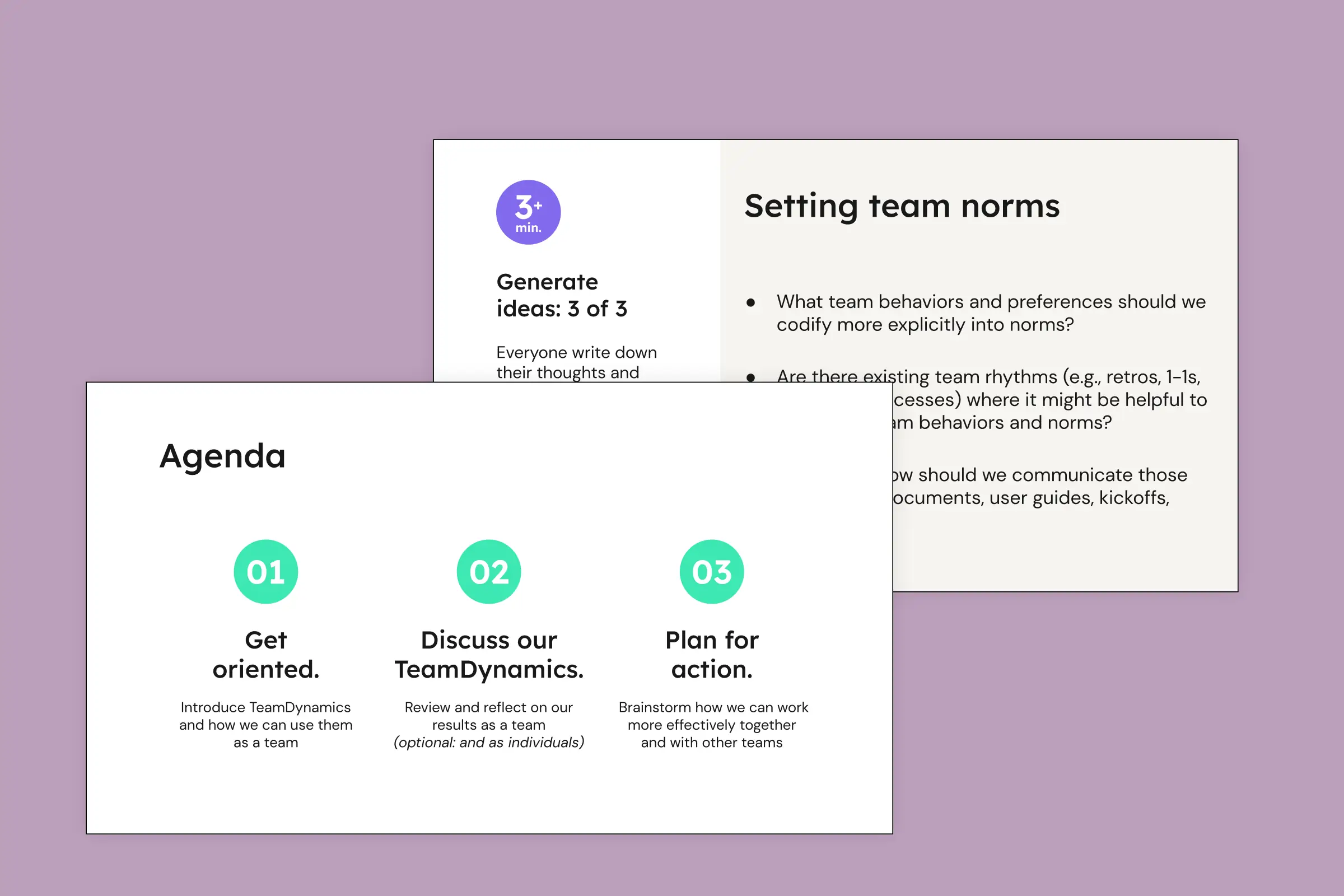 Preview of a TeamDynamics discussion guide