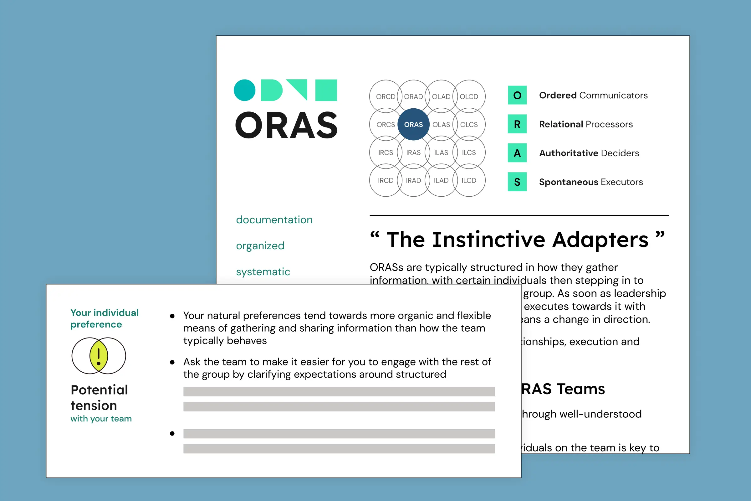 Preview of a TeamDynamics report
